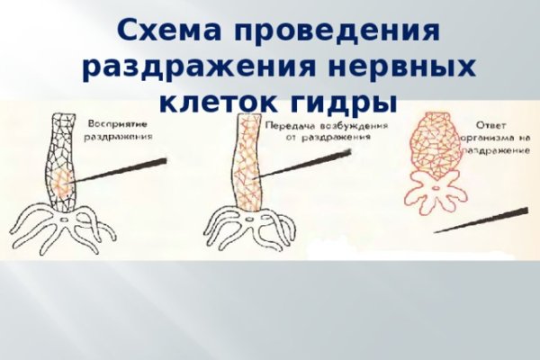 Kraken зеркало krakentor site