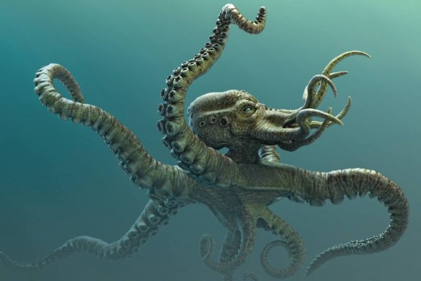 Kraken настоящая ссылка